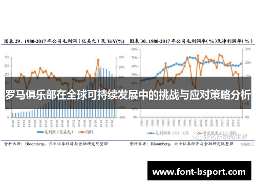 罗马俱乐部在全球可持续发展中的挑战与应对策略分析