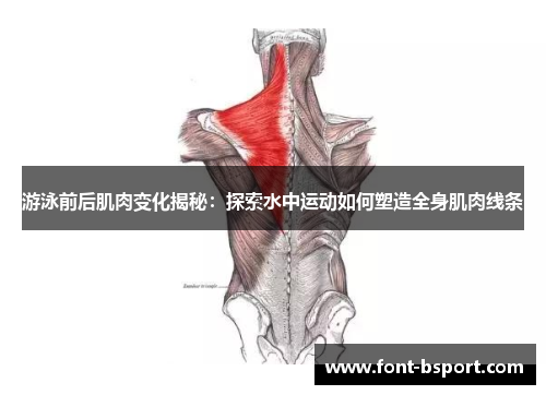 游泳前后肌肉变化揭秘：探索水中运动如何塑造全身肌肉线条
