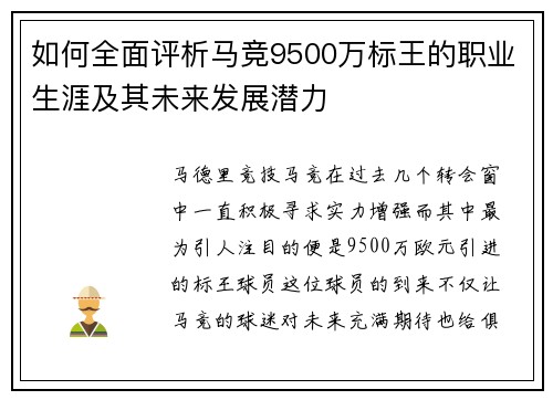 如何全面评析马竞9500万标王的职业生涯及其未来发展潜力
