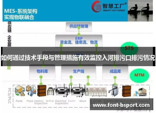 如何通过技术手段与管理措施有效监控入河排污口排污情况