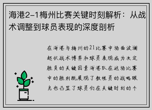 海港2-1梅州比赛关键时刻解析：从战术调整到球员表现的深度剖析